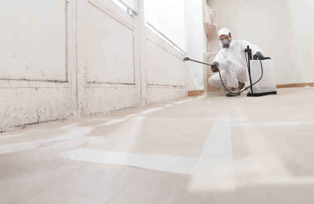 24/7 Emergency Mold Remediation experts in Greenville, PA